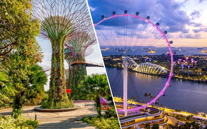 Gardens by the Bay Supertree Grove and illuminated Singapore Flyer at dusk.