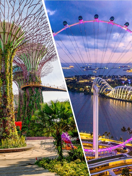 Gardens by the Bay Supertree Grove and illuminated Singapore Flyer at dusk.