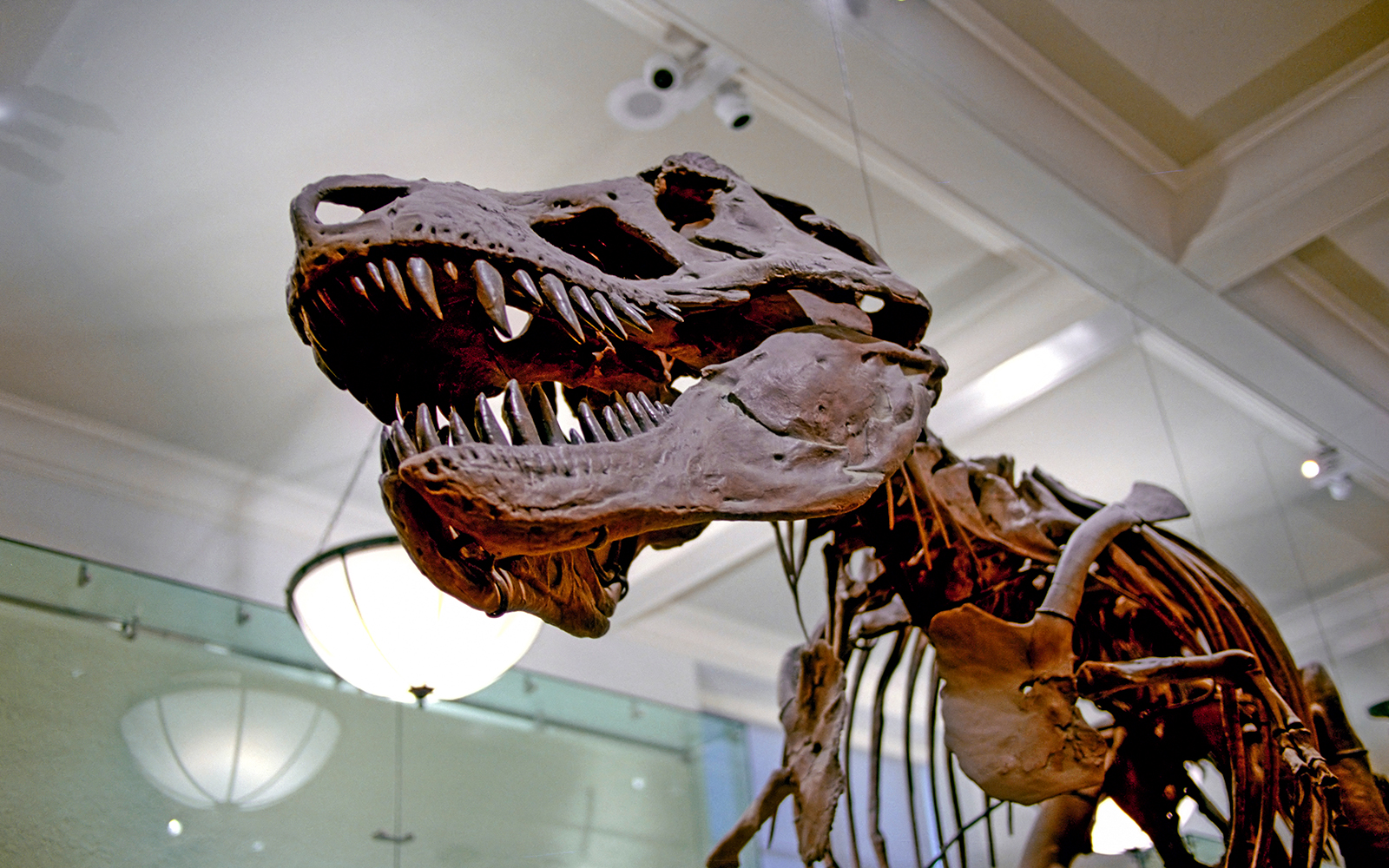 Las Vegas Natural History Museum