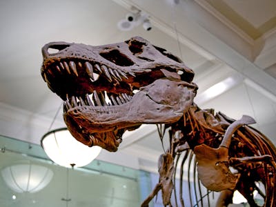 legoland windsor resort