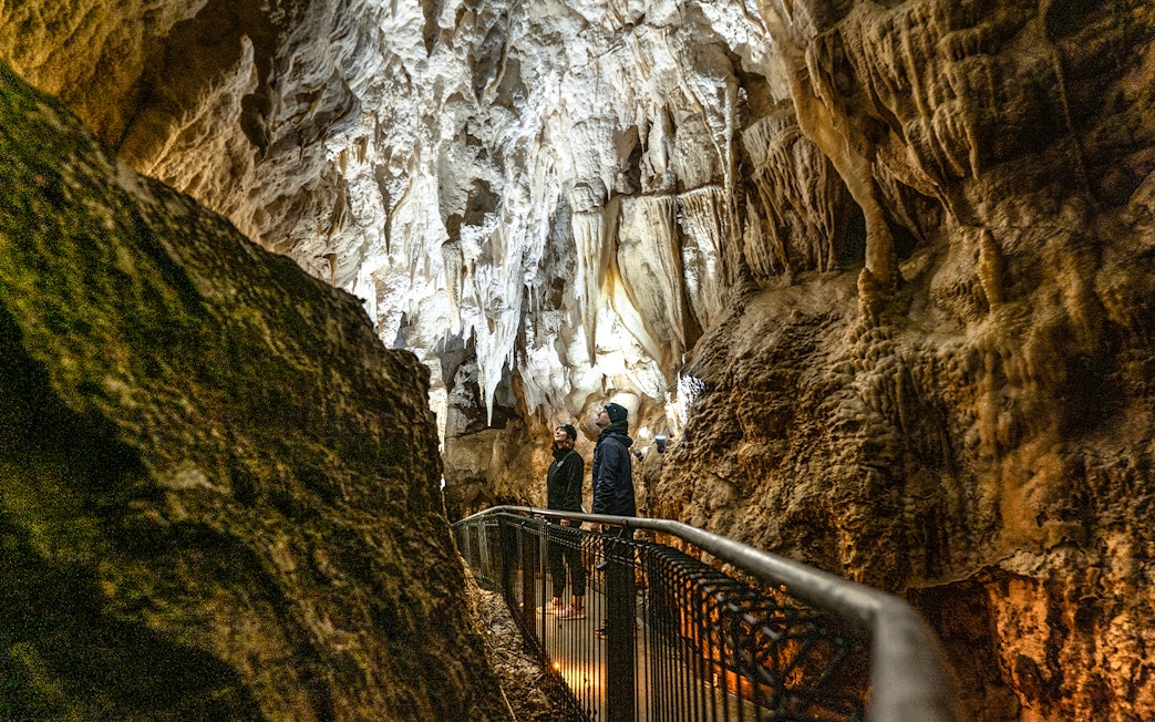 Visitors exploring stalactites in Ruakuri Cave, New Zealand.