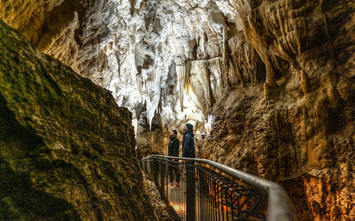 Visitors exploring stalactites in Ruakuri Cave, New Zealand.