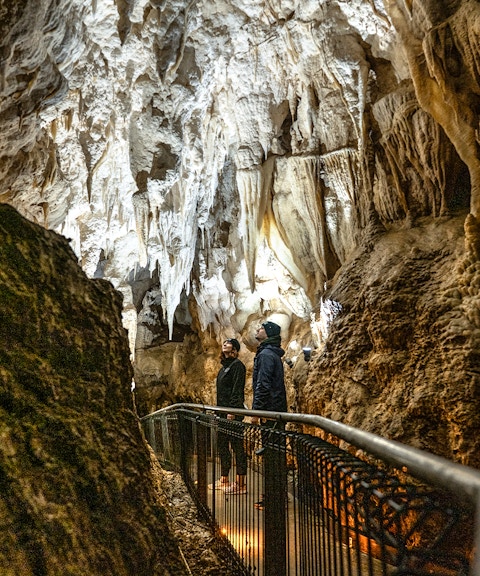 Visitors exploring stalactites in Ruakuri Cave, New Zealand.