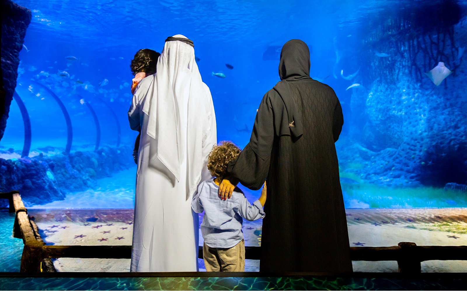 Family observing marine life at National Aquarium Abu Dhabi.