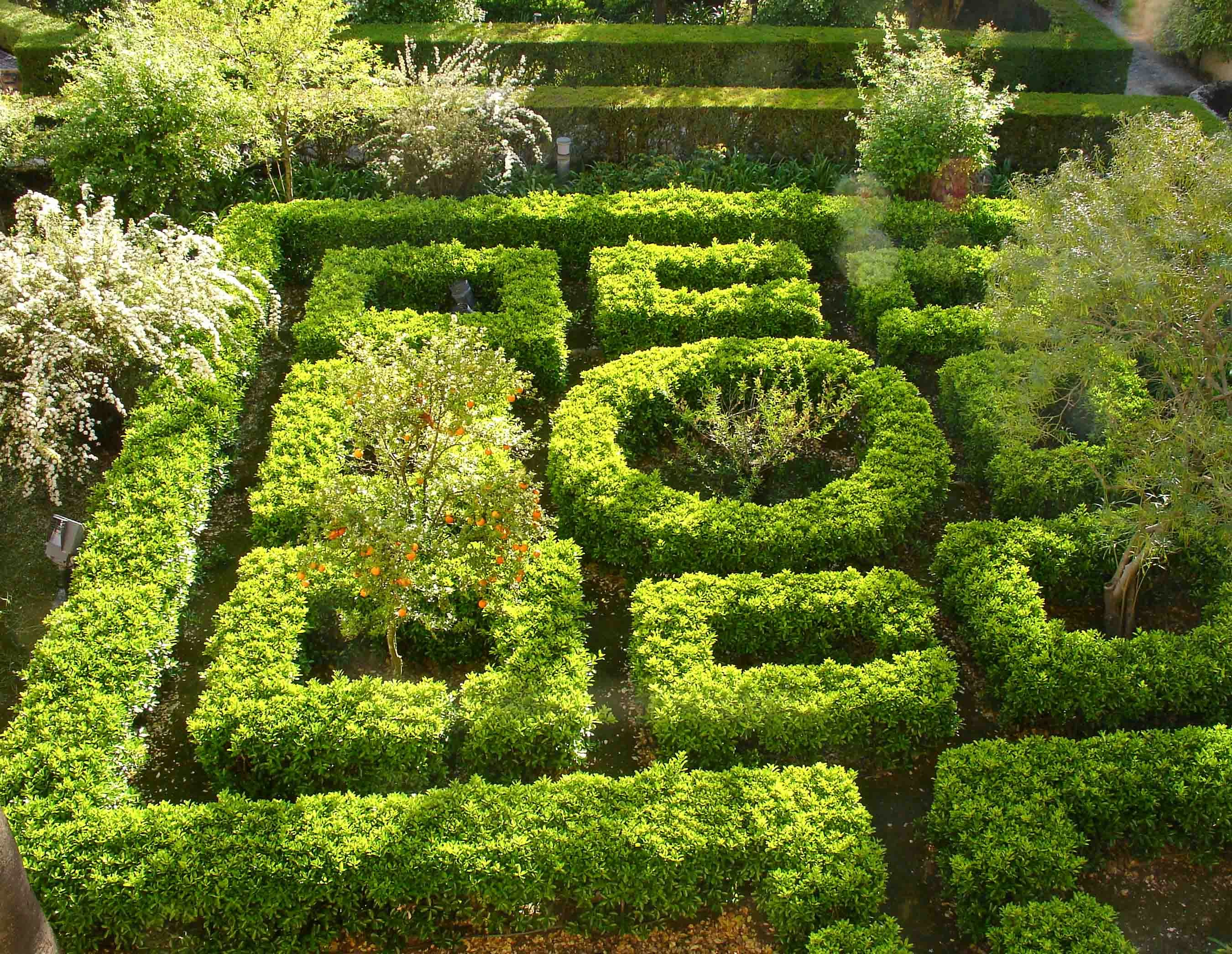 Alcazar gardens with vibrant greenery and intricate pathways in Seville, Spain.
