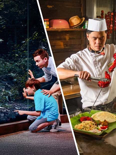 Visitors observing a tiger at Night Safari and a chef preparing skewers for Ulu Ulu Dinner.