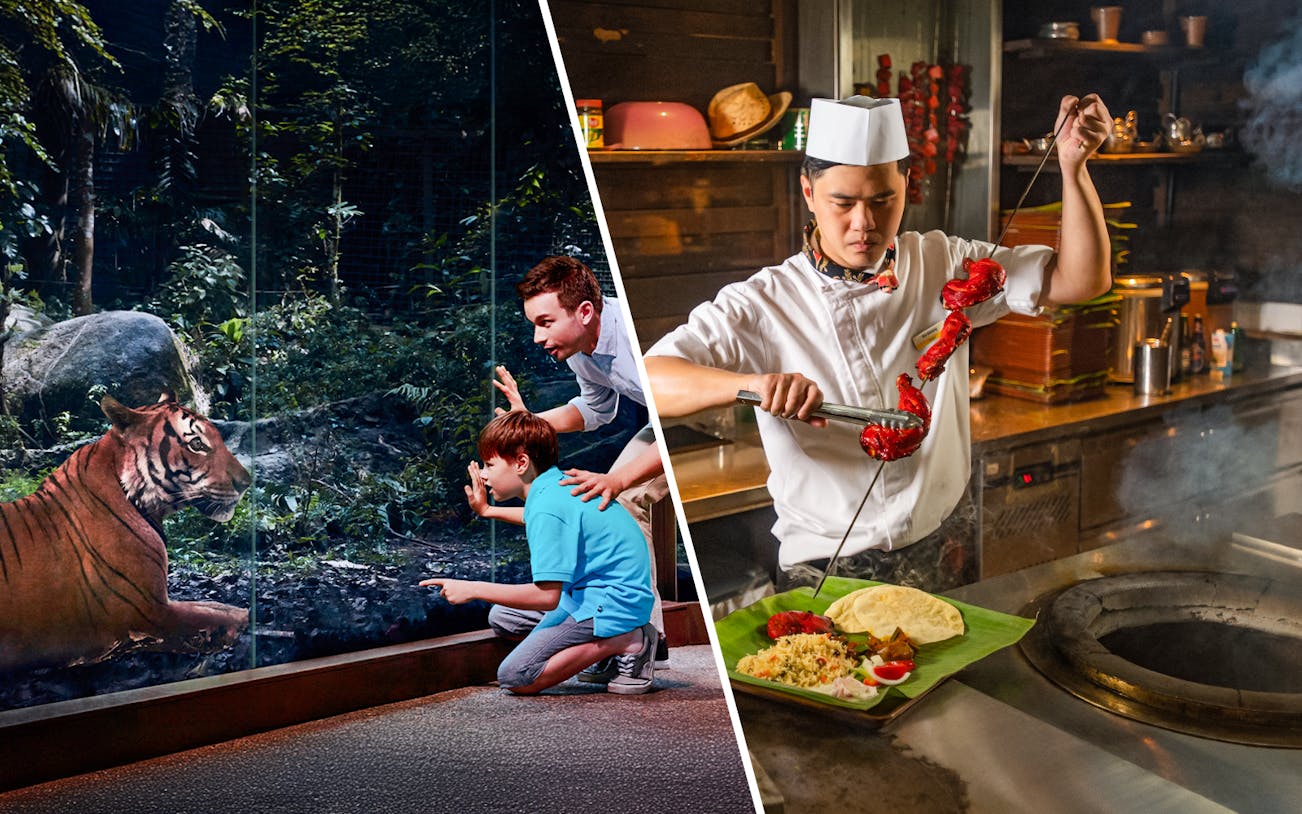 Visitors observing a tiger at Night Safari and a chef preparing skewers for Ulu Ulu Dinner.