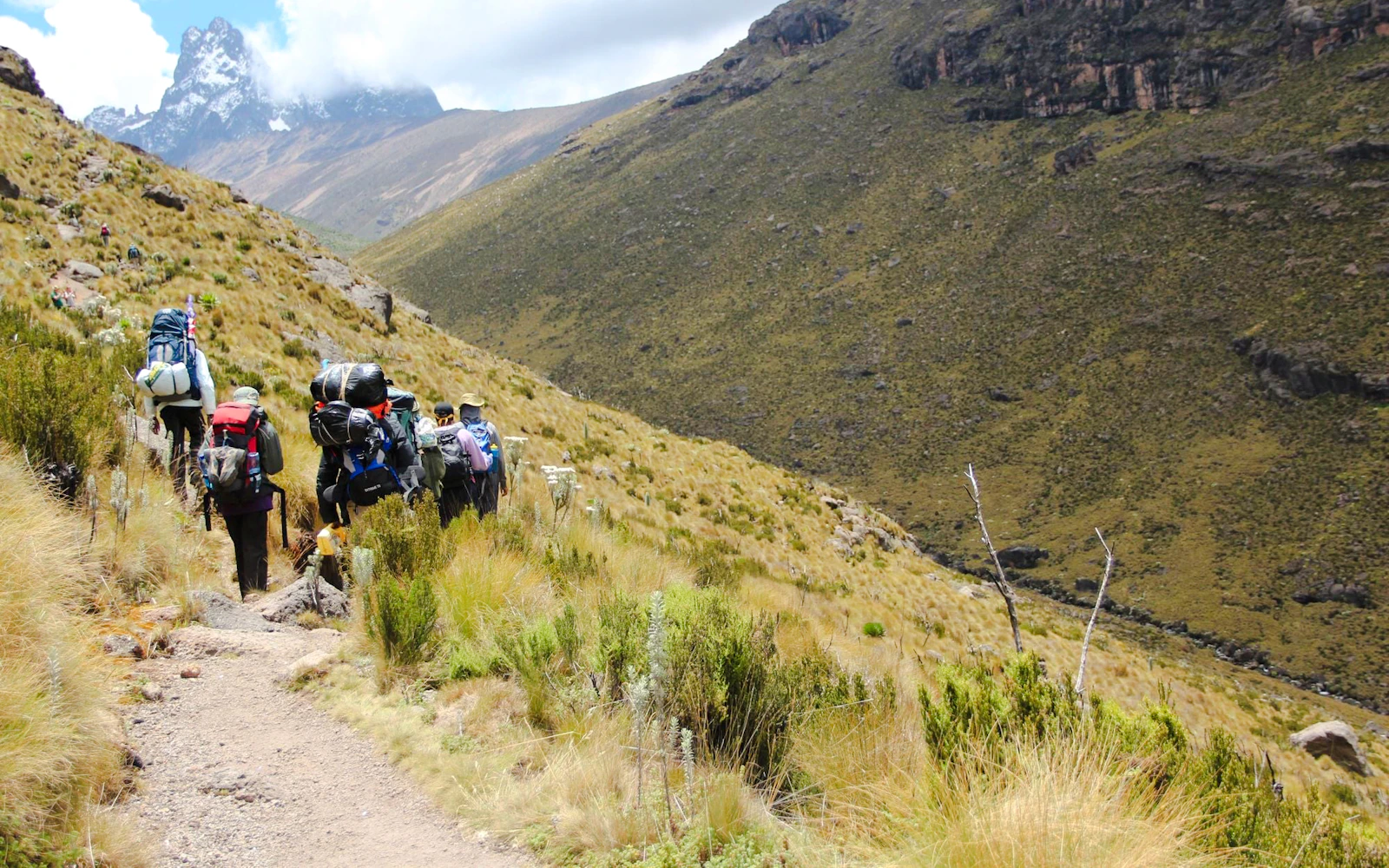 From Nairobi: Mount Kenya National Park Day Trip (Product 56402)