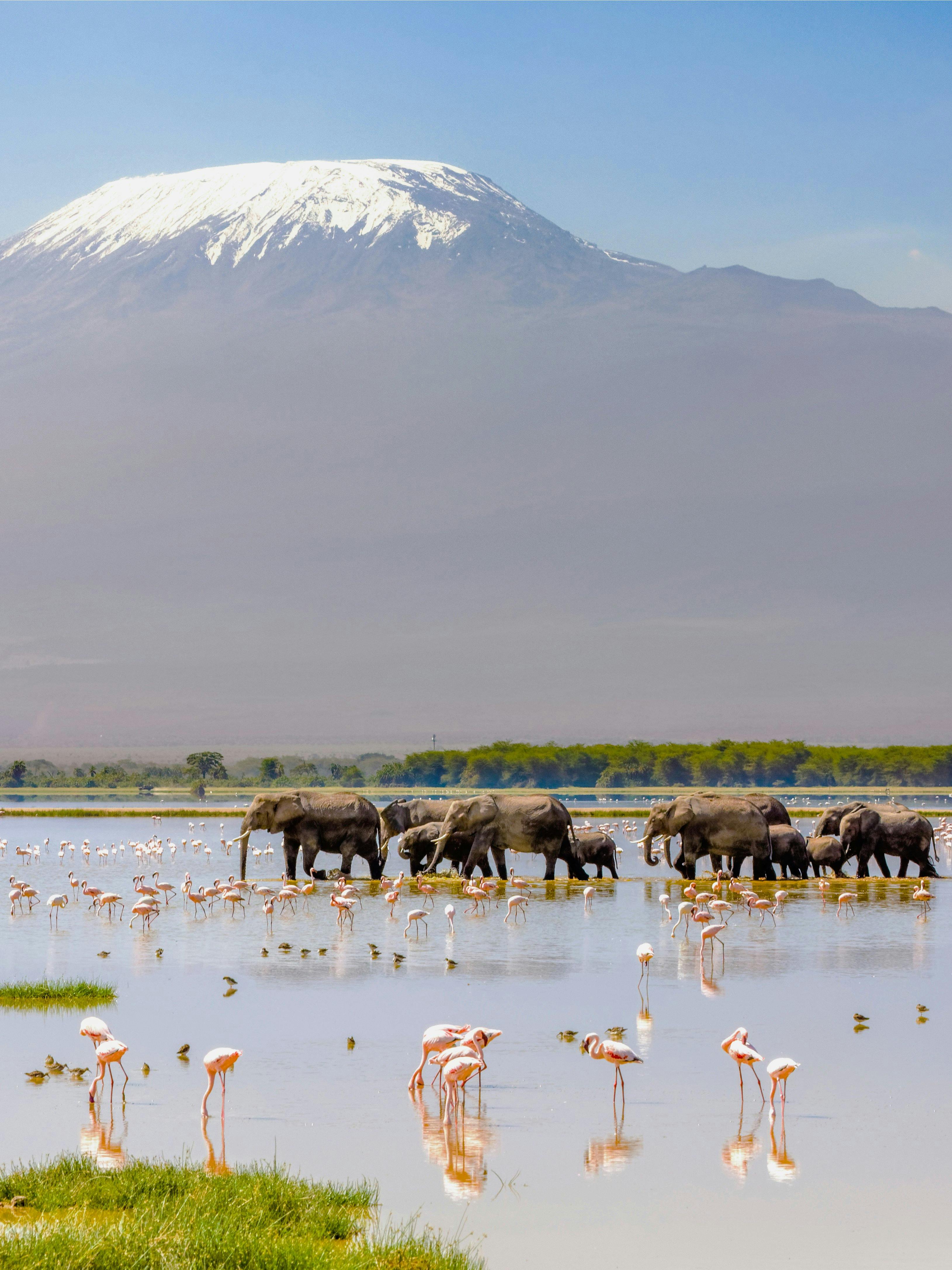 Amboseli National Park
