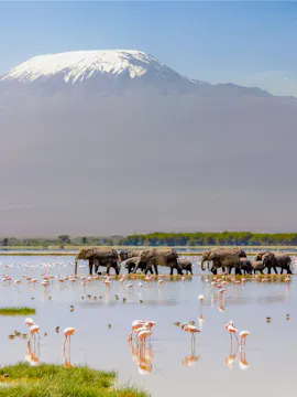 Parco Nazionale di Amboseli