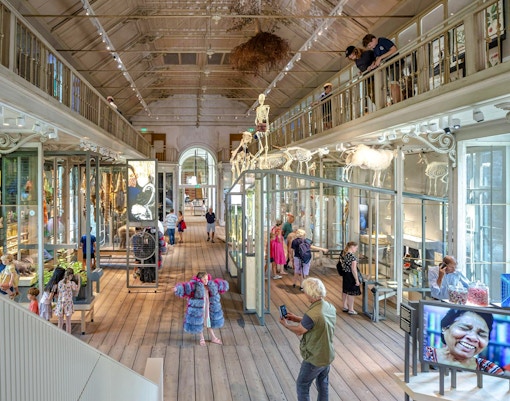 Visitors exploring exhibits at Artis Groote Museum, featuring animal skeletons and interactive displays.