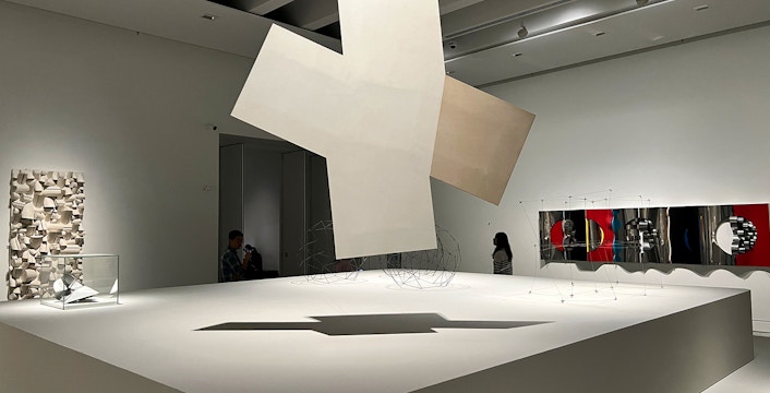 Museo Atkinson