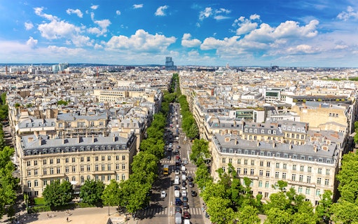 View of Paris from Arc de Triomphe rooftop, showcasing cityscape and tree-lined avenue.