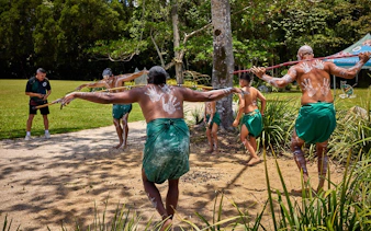 cassowary coast – goondoi-kulturerlebnis-13