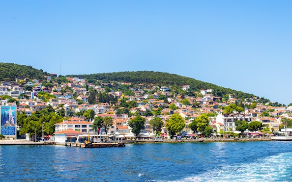 Coastline view of Princes Islands, Istanbul, with hillside houses and lush greenery.