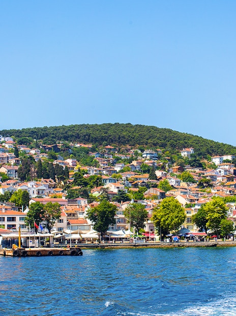 Coastline view of Princes Islands, Istanbul, with hillside houses and lush greenery.
