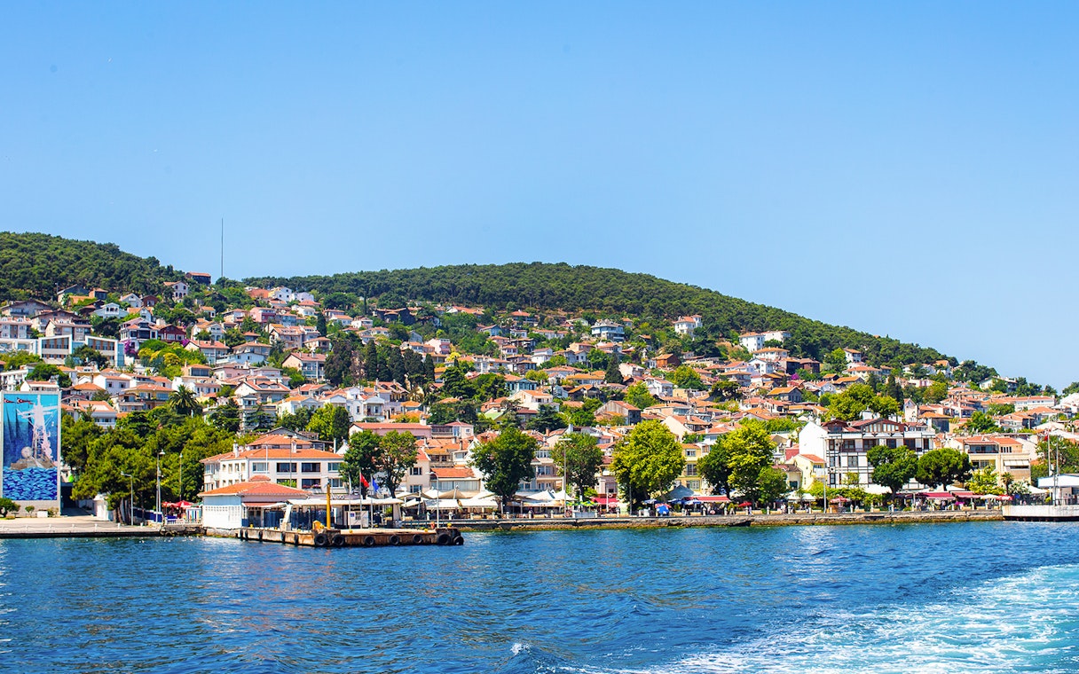 Coastline view of Princes Islands, Istanbul, with hillside houses and lush greenery.