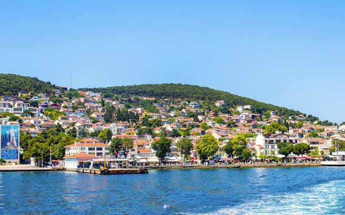 Ferry approaching Princes' Islands coast, Istanbul, with scenic view of lush greenery.
