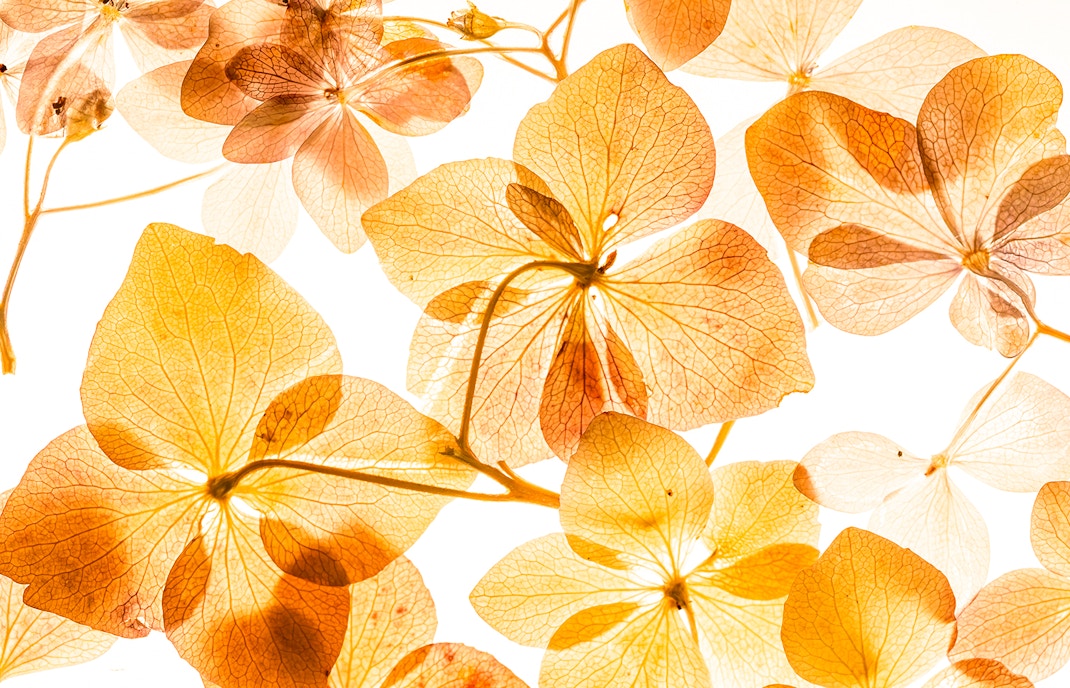 Weltmuseum Wien Exhibition