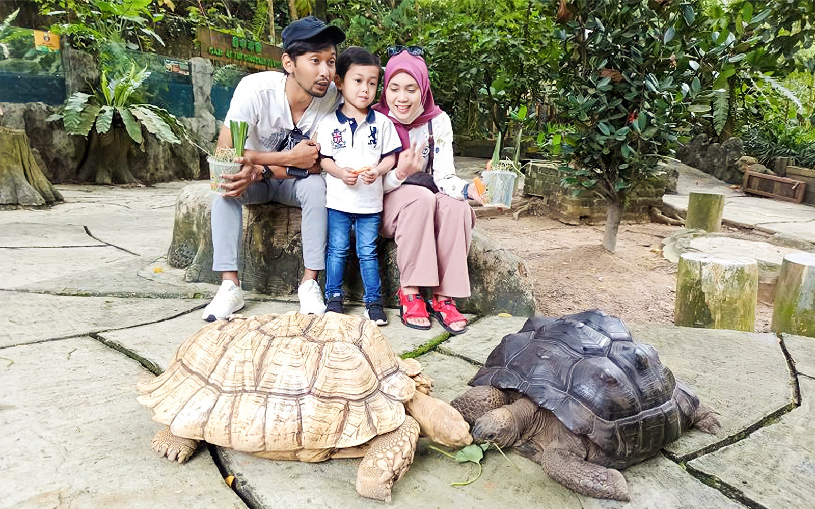 Ingressos para o Farm in the City Malásia: Fazenda das Tartarugas e Cágados