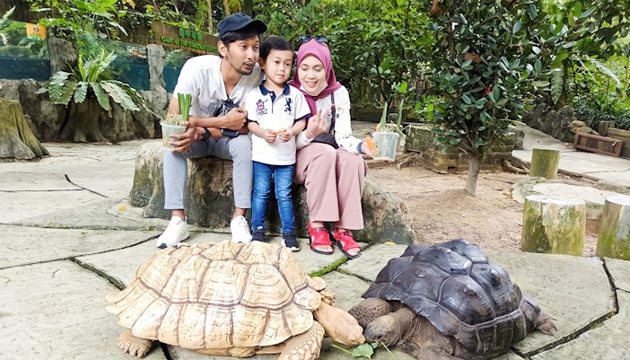 Farm in the City Malaysia tickets - Turtle & Tortoise Farm