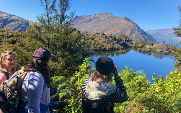 Tourists enjoying a nature walk on Mou Waho Island with views of a lake and mountains.