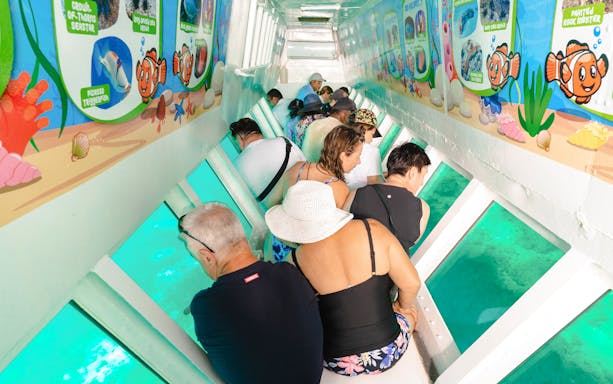 People viewing marine life through windows in a semi-submarine, South Sea Island, Fiji.