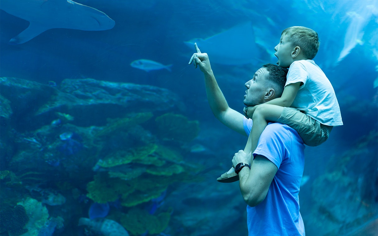Father and son observing marine life at Dubai Aquarium.