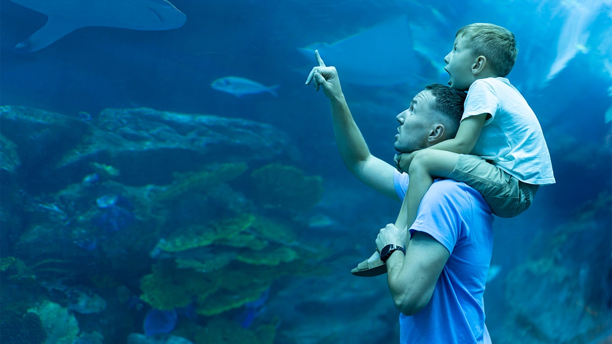 Dubai Aquarium Tickets