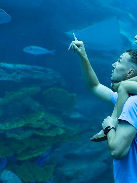 Father and son observing marine life at Dubai Aquarium.