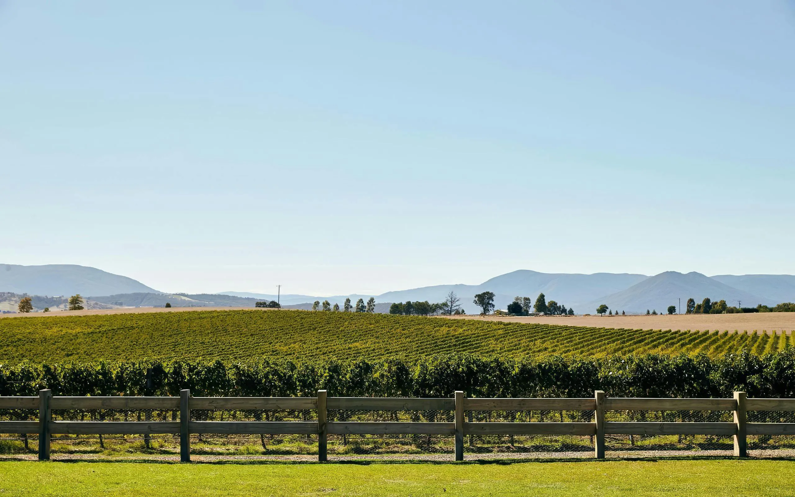 From Melbourne: Yarra Valley Curated Wine Tour with Gin, Wine, Chocolate & Fruit Tastings