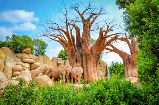 Bioparc Valencia Tickets