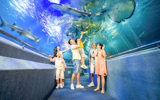 Family enjoying aquarium tunnel at Sun World Nha Trang, surrounded by sharks and marine life.