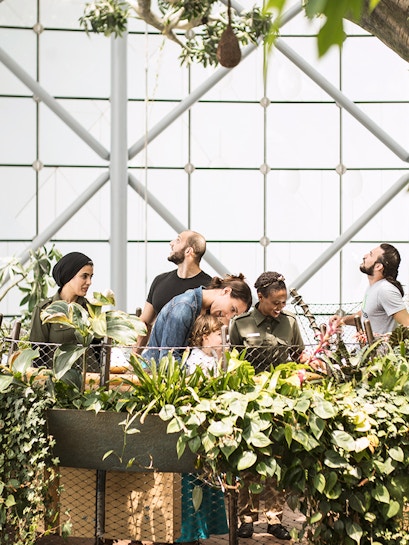 Visitors exploring lush greenery at The Green Planet indoor rainforest.