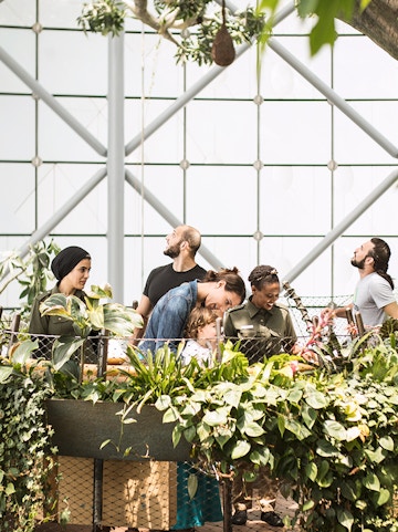 Visitors exploring lush greenery at The Green Planet indoor rainforest.
