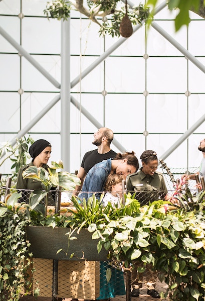 Visitors exploring lush greenery at The Green Planet indoor rainforest.