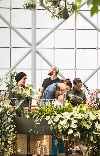 Visitors exploring lush greenery at The Green Planet indoor rainforest.