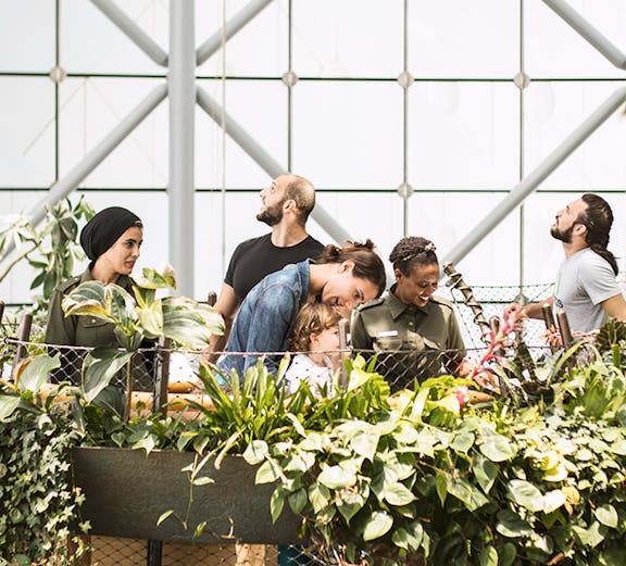 Visitors exploring lush greenery at The Green Planet indoor rainforest.
