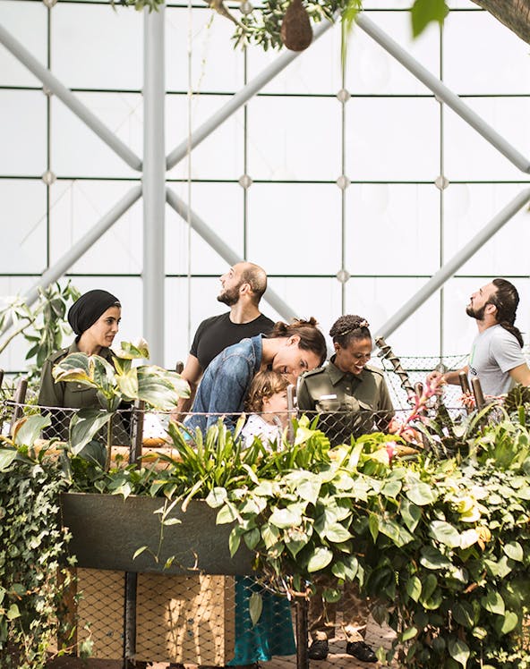 Visitors exploring lush greenery at The Green Planet indoor rainforest.