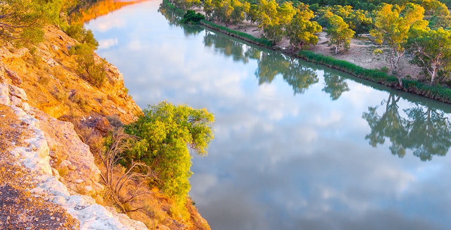 Cruzeiros no Rio Murray
