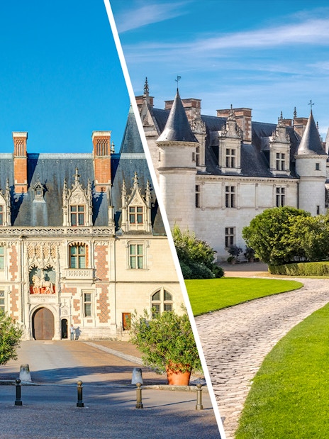 Blois and Chenonceau castles with gardens, Loire Valley, France.