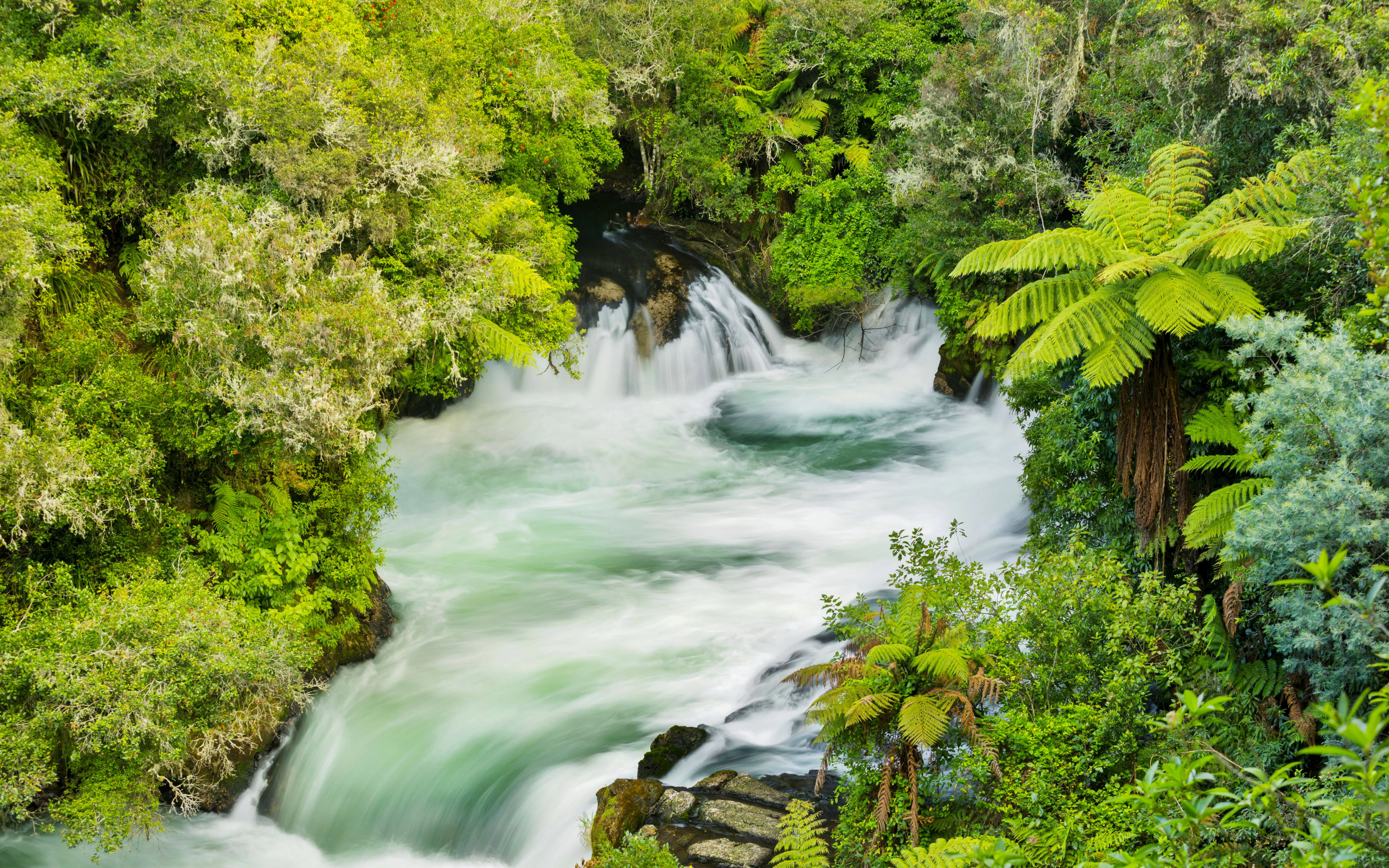 Rushing water at Okere Falls surrounded by lush greenery, Rotorua, North Island, New Zealand.