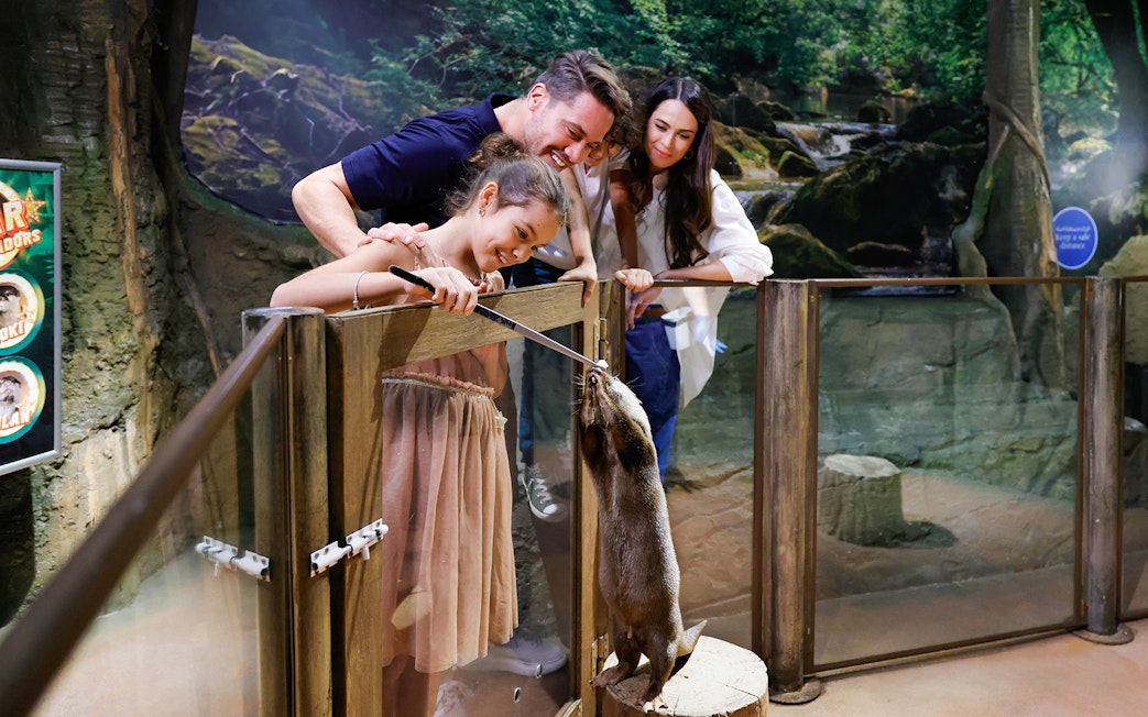 Family feeding otter at Dubai Aquarium Underwater Zoo, a family-friendly attraction.