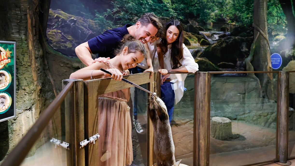Family feeding otter at Dubai Aquarium Underwater Zoo, a family-friendly attraction.