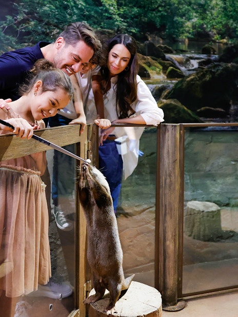 Family feeding otter at Dubai Aquarium Underwater Zoo, a family-friendly attraction.