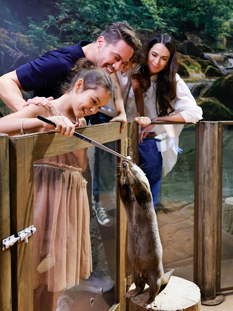 Family feeding otter at Dubai Aquarium Underwater Zoo, a family-friendly attraction.