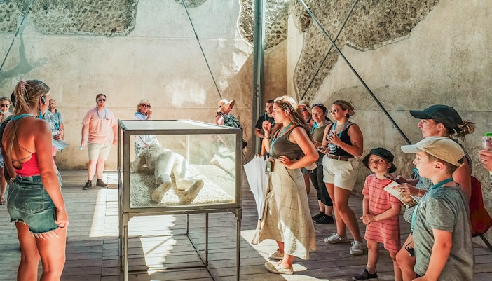 Herculaneum and Pompeii Tours