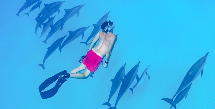 Snorkeler swimming with dolphins in the turquoise waters of the Red Sea, Hurghada.