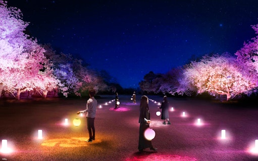 Visitors with lanterns at NAKED Sakura Night Garden, Shinjuku Gyoen 2023, under illuminated cherry blossoms.