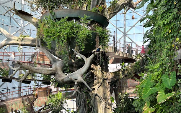 Visitors walking through lush greenery at Green Planet Dubai indoor rainforest.